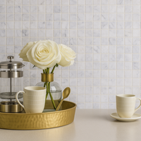 Venetian Bianco Carrara 1" x 1" Marble Mosaic