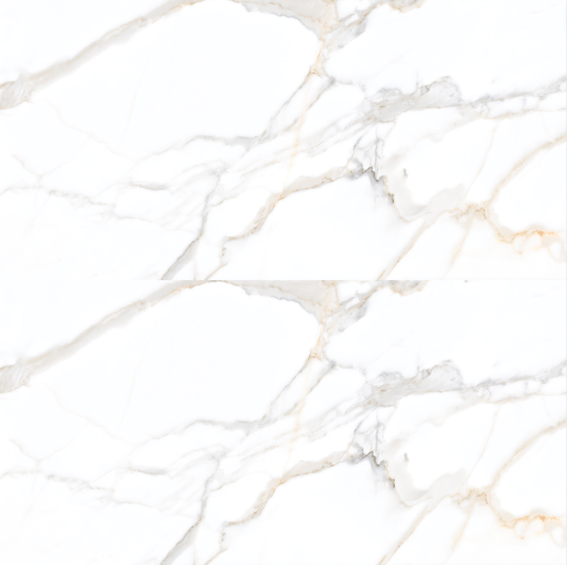 Borghini Silk Porcelain Tile 24x48