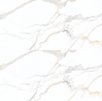 Borghini Silk Porcelain Tile 24x48