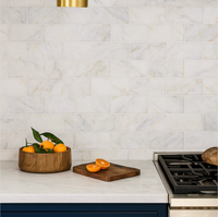 Elysian Calacatta Marble Subway Tile